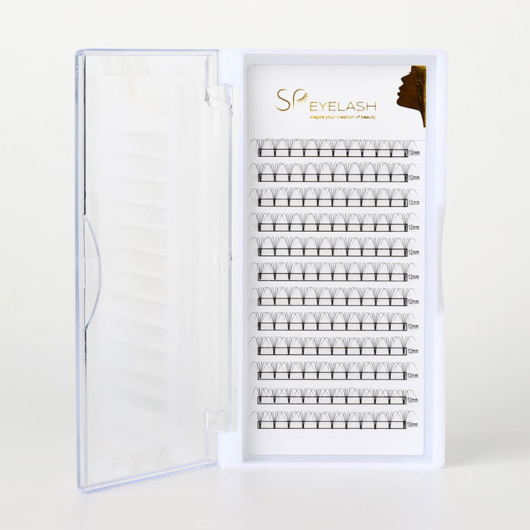 Kenapa bulu kipas premade membentuk masa depan sambungan lash profesional?