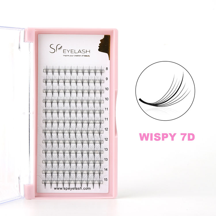 7d wispy sebatan